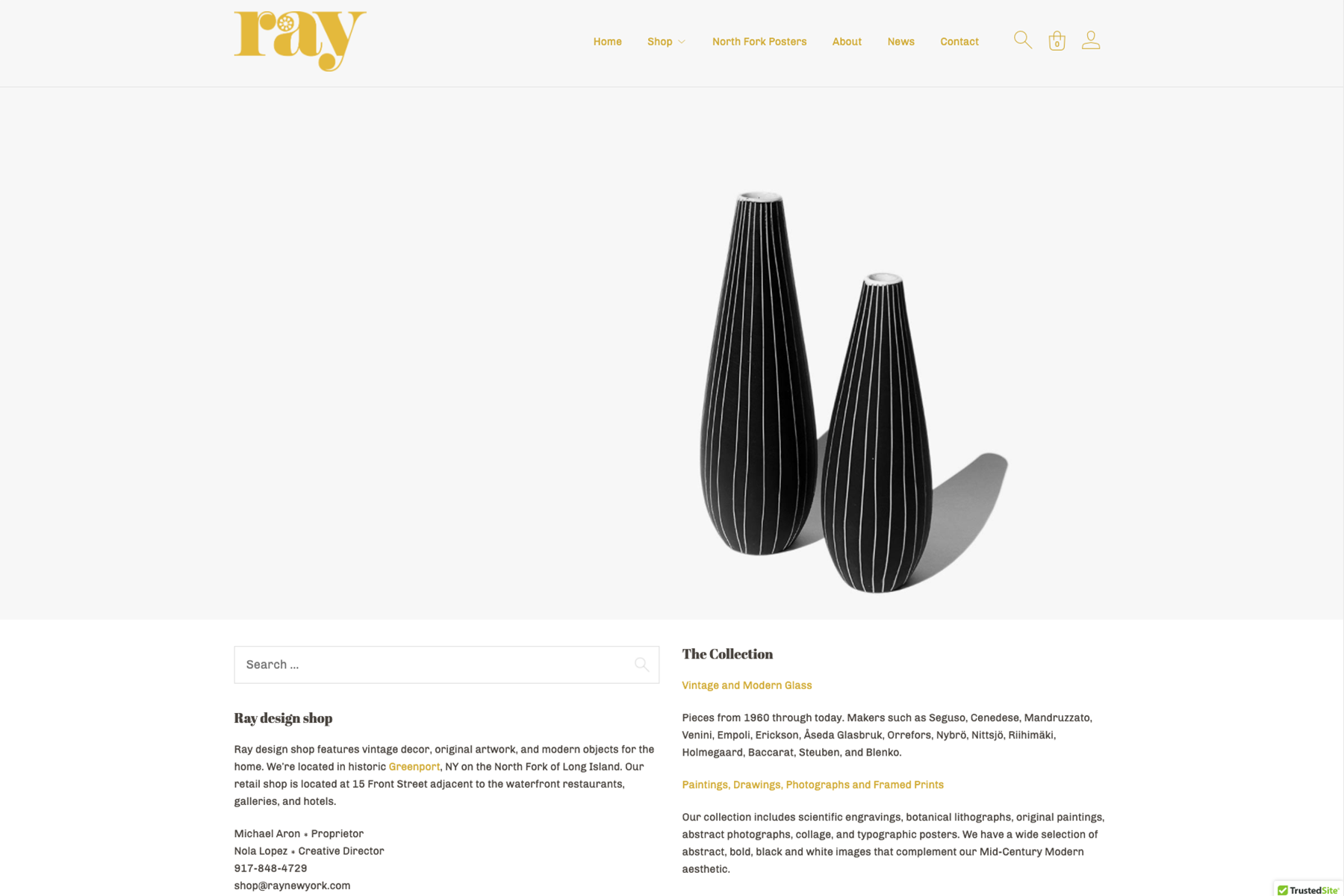 ray-new-york-website